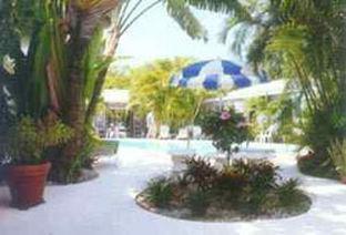 Alexander Palms Court Hotel คีย์เวสต์ ภายนอก รูปภาพ
