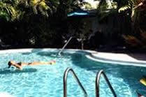 Alexander Palms Court Hotel คีย์เวสต์ ภายนอก รูปภาพ